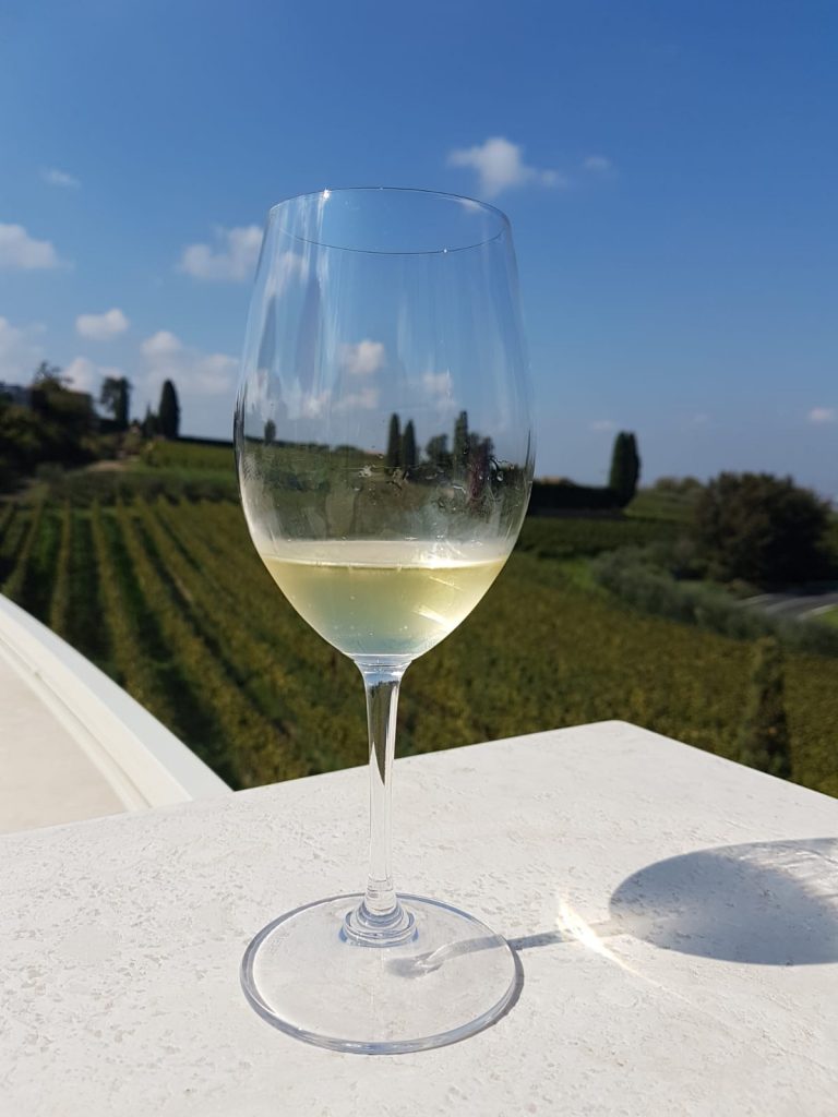 Poggio Le Volpi, un vino bianco tipico della zona dei castelli romani
