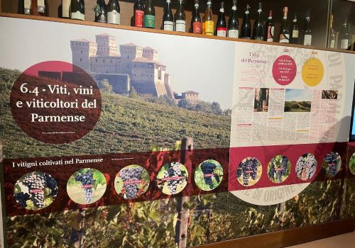 Il museo del vino